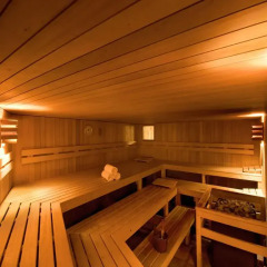 Отель Club Hotel Davos Швейцария, Давос - отзывы, цены и фото номеров - забронировать отель Club Hotel Davos онлайн сауна