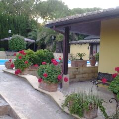 Отель B&B Il Giardino Dei Limoni Монтекассино фото 8
