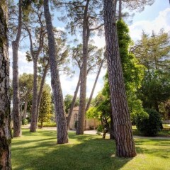 Отель Villa Quiete Монтекассино фото 8