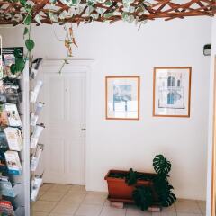 Отель Porto Del Sol Guesthouse развлечения