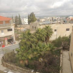 Отель Madaba Hotel Иордания, Мадаба - отзывы, цены и фото номеров - забронировать отель Madaba Hotel онлайн балкон