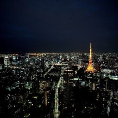 Отель Andaz Tokyo Toranomon Hills - a concept by Hyatt Япония, Токио - 1 отзыв об отеле, цены и фото номеров - забронировать отель Andaz Tokyo Toranomon Hills - a concept by Hyatt онлайн фото 6