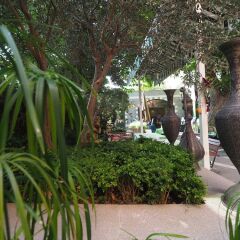 Мини-отель Garden House Istanbul Стамбул фото 7