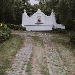 Отель Il Pettirosso B&B Италия, Гроттаферрата - отзывы, цены и фото номеров - забронировать отель Il Pettirosso B&B онлайн приотельная территория