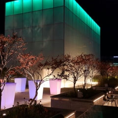 Отель Sotetsu Hotels The Splaisir Seoul Myeong-Dong фото 3