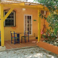 Coco Palm Garden in Kralendijk, Bonaire, Sint Eustatius and Saba from 170$, photos, reviews - zenhotels.com pool