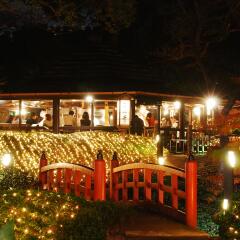 Hotel New Otani Tokyo Garden Tower гостиничный бар