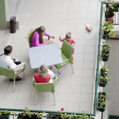 Отель Palm Beach Hotel- All Inclusive Болгария, Золотые пески - отзывы, цены и фото номеров - забронировать отель Palm Beach Hotel- All Inclusive онлайн фото 2