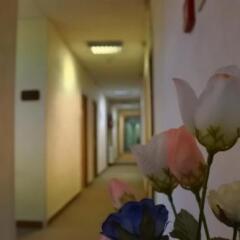 Hotel Loreto Лорето интерьер отеля фото 3