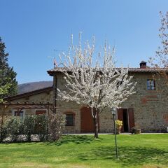 Отель Podere Piana - INH 28499 Реггелло фото 6