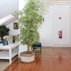 Отель Botanic Views Guest House Лиссабон интерьер отеля