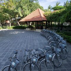 Отель Anantara Hoi An Resort Вьетнам, Хойан - отзывы, цены и фото номеров - забронировать отель Anantara Hoi An Resort онлайн фото 8