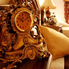 Premier Prezident Garni Hotel And Spa Сремски-Карловци гостиничный бар