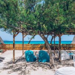 Отель Iberostar Alcudia Park бассейн фото 3