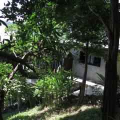 Отель Koh Tao Heights Apartments Таиланд, Мэй-Хаад-Бэй - отзывы, цены и фото номеров - забронировать отель Koh Tao Heights Apartments онлайн фото 5