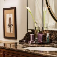 Отель The Ritz-Carlton, Budapest в номере