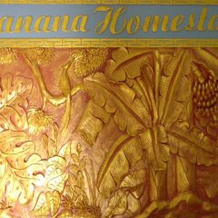 Banana Homestay And Hostel Хойан интерьер отеля