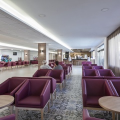 Hotel Oasis Park гостиничный бар