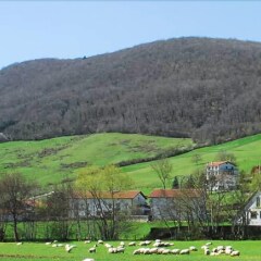 Hotel Iribarnia, The Originals Relais (ex. Relais Du Silence) Ланц приотельная территория