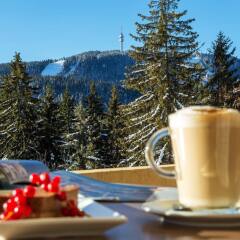 Отель Perelik Hotel Болгария, Пампорово - отзывы, цены и фото номеров - забронировать отель Perelik Hotel онлайн балкон