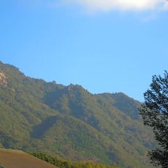 Отель Yakushima South Village Якусима приотельная территория