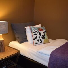 Hotel Leifur Eiriksson in Reykjavik, Iceland from 262$, photos, reviews - zenhotels.com room amenities
