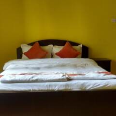 Отель Yellow Durbar Apartment and Lounge Непал, Лалитпур - отзывы, цены и фото номеров - забронировать отель Yellow Durbar Apartment and Lounge онлайн комната для гостей фото 5