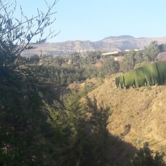 Budget Ethiopia Tours and Homestay in Lalibela, Ethiopia from 121$, photos, reviews - zenhotels.com photo 6