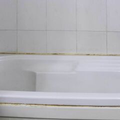 Отель Dee Marks Hotel & Resorts Индия, Нью-Дели - отзывы, цены и фото номеров - забронировать отель Dee Marks Hotel & Resorts онлайн ванная