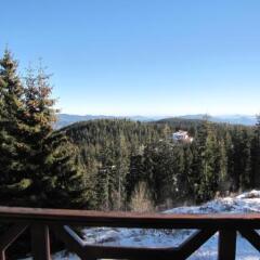 Отель Aparthotel Pine Hills Pamporovo Пампорово фото 2
