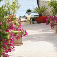 Отель Danai Beach Resort & Villas Греция, Ситония - отзывы, цены и фото номеров - забронировать отель Danai Beach Resort & Villas онлайн