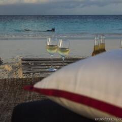 Отель Taj Coral Reef Resort & Spa Maldives Мальдивы, Северный атолл Мале - отзывы, цены и фото номеров - забронировать отель Taj Coral Reef Resort & Spa Maldives онлайн пляж