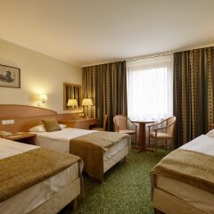 Отель Erzsebet Hotel City Center Венгрия, Будапешт - 6 отзывов об отеле, цены и фото номеров - забронировать отель Erzsebet Hotel City Center онлайн фото 4