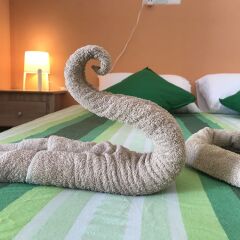 Отель Ocean Vibes Guesthouse Мальдивы, Северный атолл Мале - отзывы, цены и фото номеров - забронировать отель Ocean Vibes Guesthouse онлайн с домашними животными