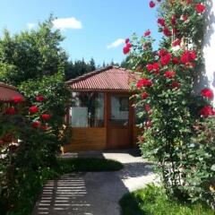 Отель Guest House Stoletnika Чепеларе фото 15