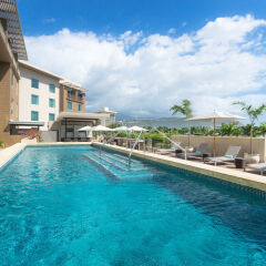 Отель Courtyard by Marriott Kingston, Jamaica Ямайка, Кингстон - отзывы, цены и фото номеров - забронировать отель Courtyard by Marriott Kingston, Jamaica онлайн с домашними животными