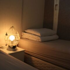 Отель The Present Guesthouse Южная Корея, Сеул - отзывы, цены и фото номеров - забронировать отель The Present Guesthouse онлайн комната для гостей фото 2
