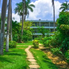 Отель Negril Beach Club Ямайка, Негрил - отзывы, цены и фото номеров - забронировать отель Negril Beach Club онлайн фото 6