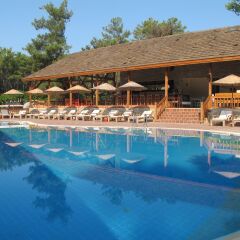 Отель Olympos Village с домашними животными