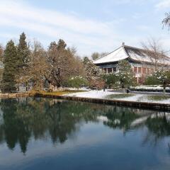 Отель Beijing Haowei Mansion Hotel Китай, Пекин - отзывы, цены и фото номеров - забронировать отель Beijing Haowei Mansion Hotel онлайн бассейн