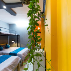 GoCo Hostel ванная