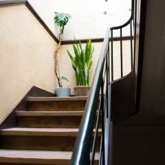 Отель The Mulberry Tree Lisbon Hostel Португалия, Лиссабон - отзывы, цены и фото номеров - забронировать отель The Mulberry Tree Lisbon Hostel онлайн интерьер отеля фото 3