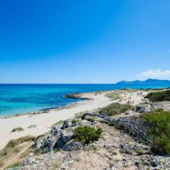 Отель Apartamentos YourHouse Acapulco пляж фото 2