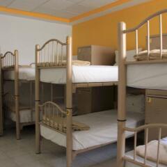 Mexico City Hostel Мехико детские мероприятия фото 2