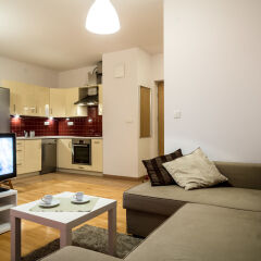 Отель Silver Apartments Польша, Варшава - отзывы, цены и фото номеров - забронировать отель Silver Apartments онлайн комната для гостей фото 4