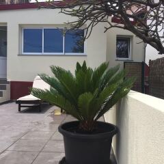 Отель House With one Bedroom in Porto da Cruz, With Enclosed Garden and Wifi Машику фото 20