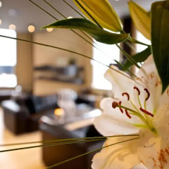 Отель VISIONAPARTMENTS Zurich Wolframplatz питание