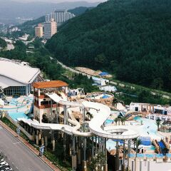 Отель Phoenix Pyeongchang Hotel Южная Корея, Пхёнчан - отзывы, цены и фото номеров - забронировать отель Phoenix Pyeongchang Hotel онлайн с домашними животными