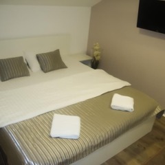 Vila Olivera Niska Banja in Niska Banja, Serbia from 22$, photos, reviews - zenhotels.com photo 2