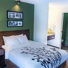 Sleep Inn Pasco Tri-Cities in Pasco, United States of America from 136$, photos, reviews - zenhotels.com guestroom